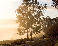 Balingup Heights Hilltop Forest Cottages