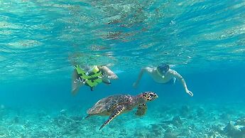 Holiday Garden Rasdhoo