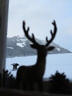 Kitzbühel Apartments Haus Brugger