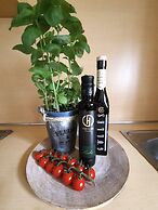 Kitzbühel Apartments Haus Brugger