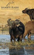 Nambiti Plains Private Game Lodge