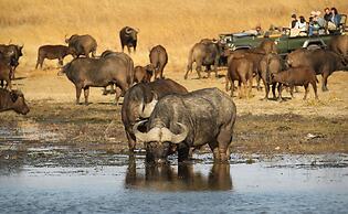 Nambiti Plains Private Game Lodge