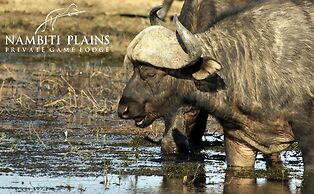 Nambiti Plains Private Game Lodge