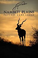 Nambiti Plains Private Game Lodge