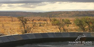 Nambiti Plains Private Game Lodge