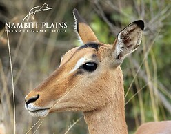 Nambiti Plains Private Game Lodge