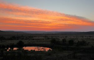 Nambiti Plains Private Game Lodge