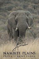 Nambiti Plains Private Game Lodge