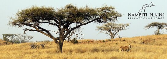 Nambiti Plains Private Game Lodge