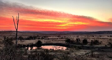 Nambiti Plains Private Game Lodge