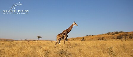 Nambiti Plains Private Game Lodge