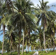 Ban Thanyanan Resort