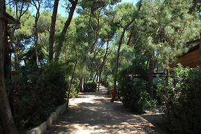Villaggio Pineta al Mare - Campground