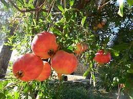 Macchia Salentina