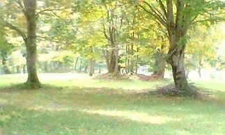 Woody House Kazamidori