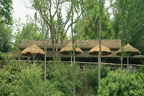 Safari Narayani Hotel- All Inclusive