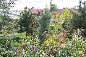 Sangria Luxury Family