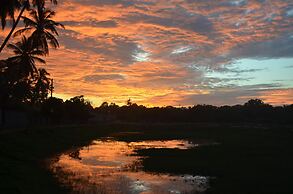 Green Parrot Beach Resort