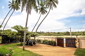 Green Parrot Beach Resort
