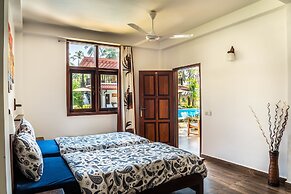 Green Parrot Beach Resort