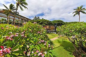 Maui Kaanapali S #b233 1 Bedroom Condo by RedAwning