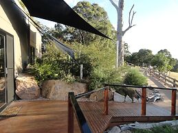 Down to Earth Farm Retreat