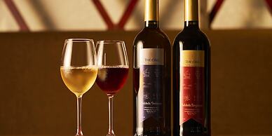 HOTEL FLAGS KUJUKUSHIMA