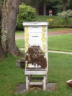 Golden Stage Inn B&B