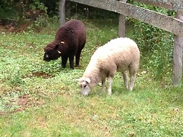 Golden Stage Inn B&B