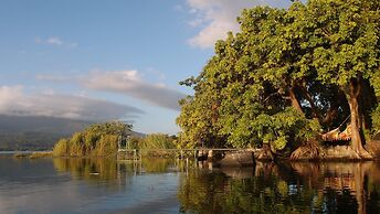 Zopango Orchids Island