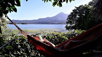 Zopango Orchids Island