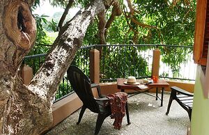 Zopango Orchids Island