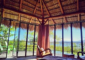 Zopango Orchids Island