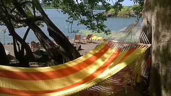 Zopango Orchids Island