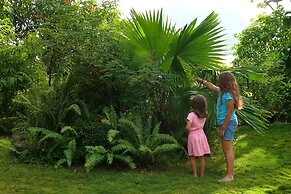 Zopango Orchids Island