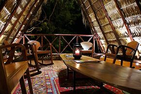 Zopango Orchids Island