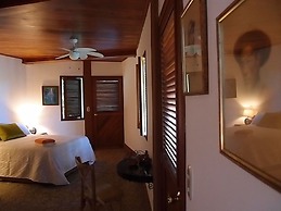 Zopango Orchids Island