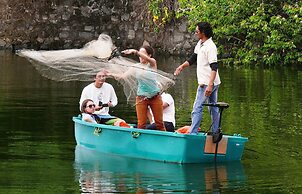 Zopango Orchids Island
