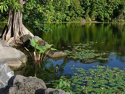 Zopango Orchids Island