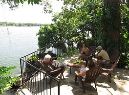 Zopango Orchids Island