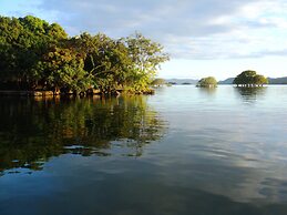 Zopango Orchids Island