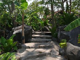 Zopango Orchids Island