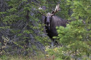 Hotel Aateli Hillside