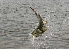 Delta Belle Boathouse