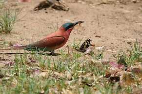 Delta Belle Boathouse