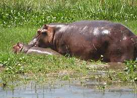 Delta Belle Boathouse