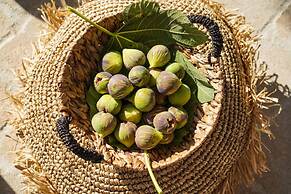 Myconian Platinum Villas