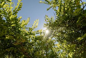 Myconian Platinum Villas