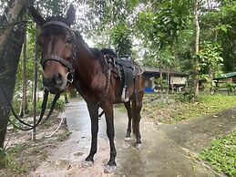 Samloem Laguna Resort