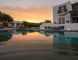 Olive Mykonos Villas